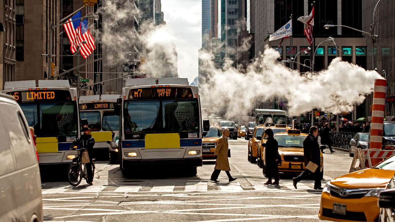 Trabajo en New York sin papeles | Mejores empleos en 2025